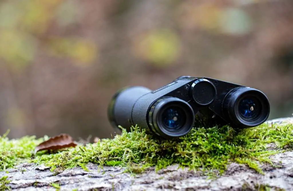 A pair of binoculars placed down on a large rock with moss growing on it.