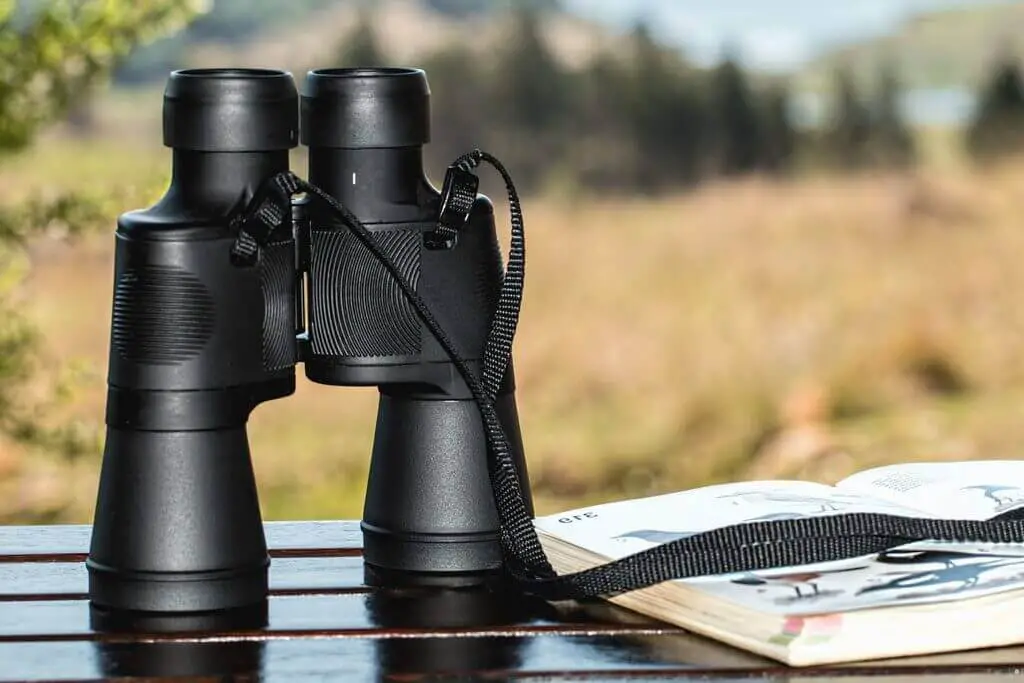 binoculars bird-watching