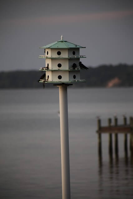 A Purple Martin Birdhouse.