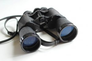 binocular