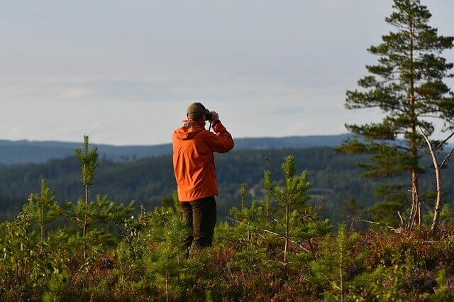 A person birding in the woods.