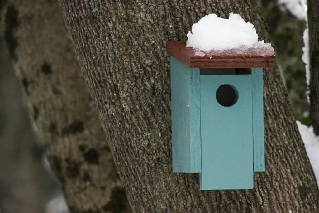birdhouse winter