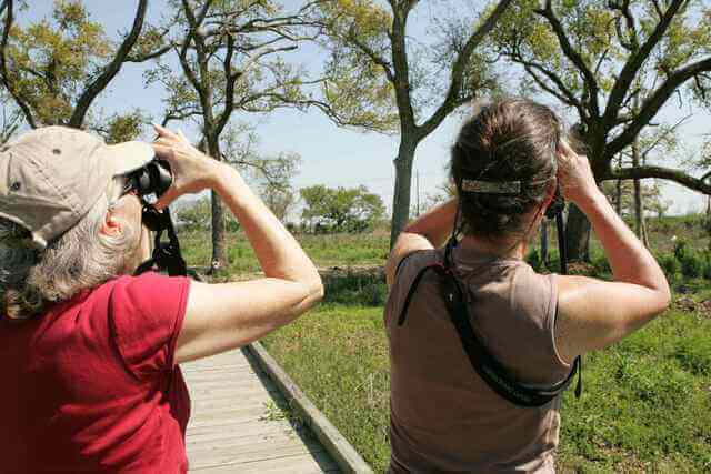 Women bird watching