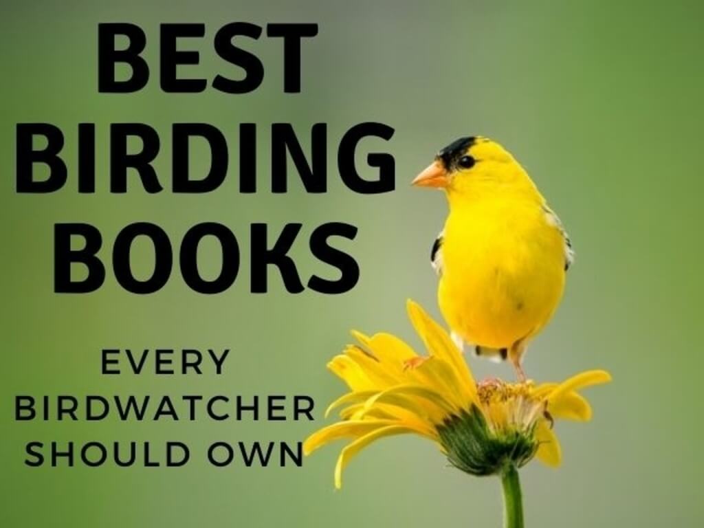 Best Birding Book