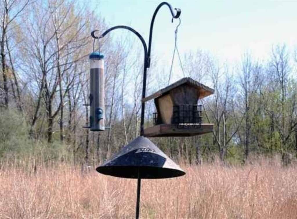 Bird Feeders on pole.
