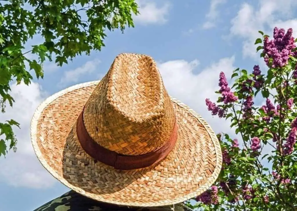 A oerson with a straw hat looking up into a tree.