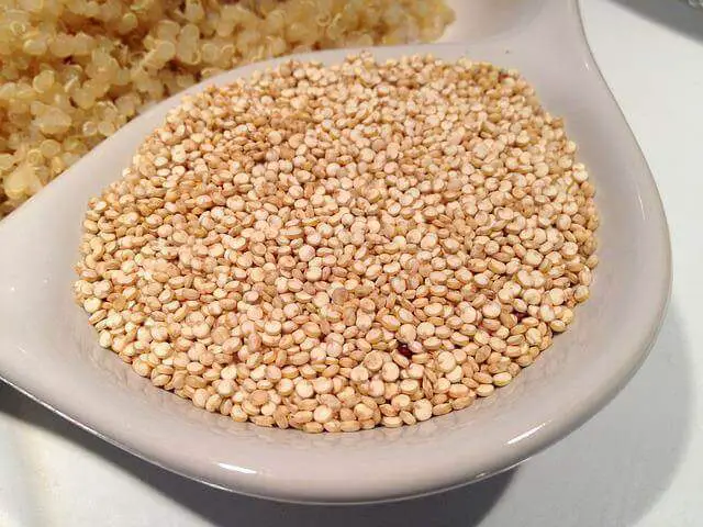 Quinoa seeds in a dish.