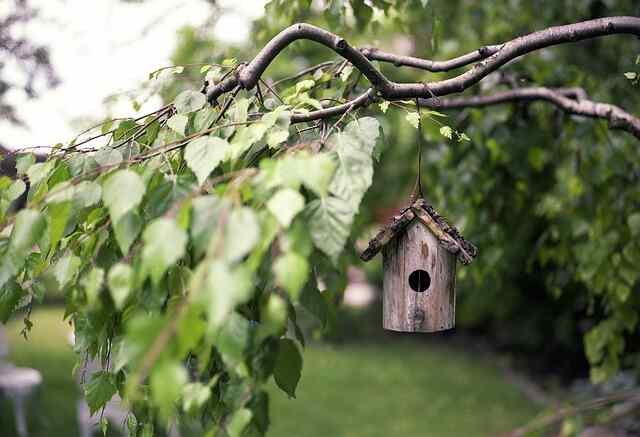 A bird house hanging on a tree branch in a garden.