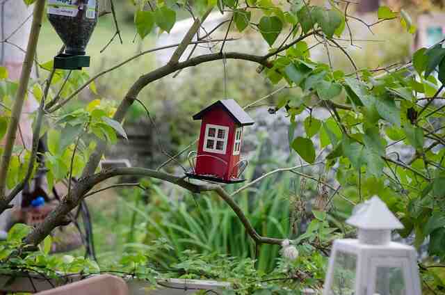 A backyard with a hanging bird house and bird feeder.