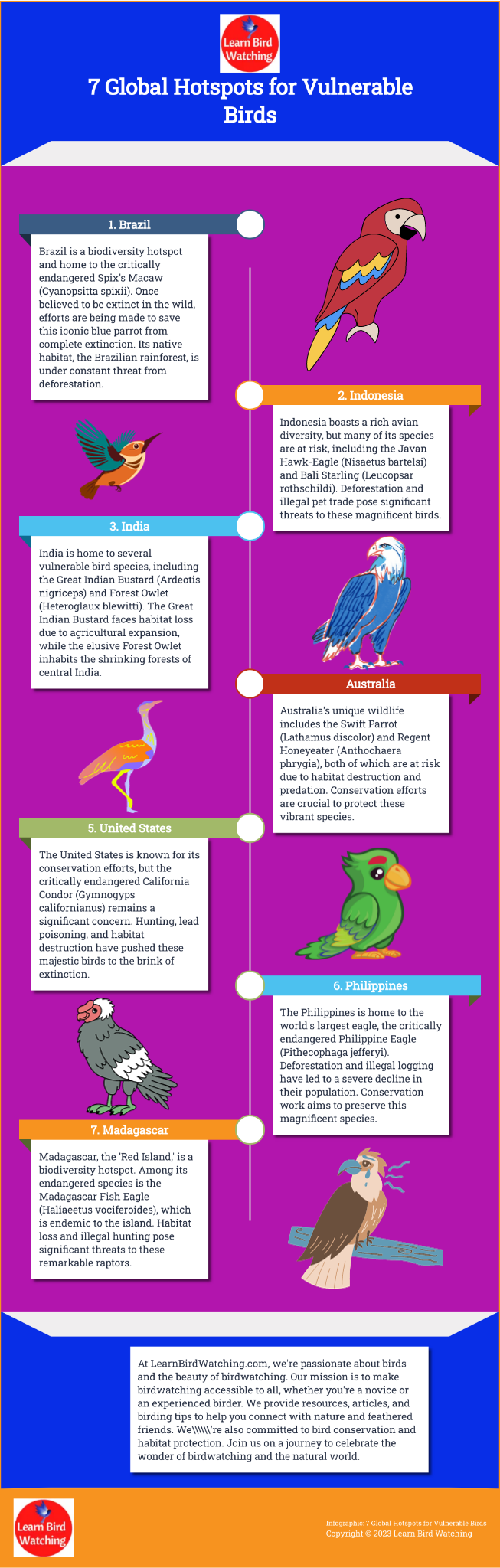 Infographic: 7 Global Hotspots for Vulnerable Birds  