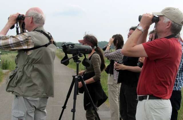 A group of birdwatchers looking at birds with binoculars.