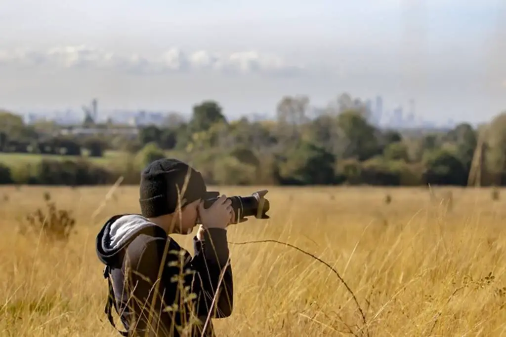 A boy in a field taking photos of birds.