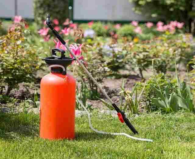 Pesticide equipment placed on a lawn.