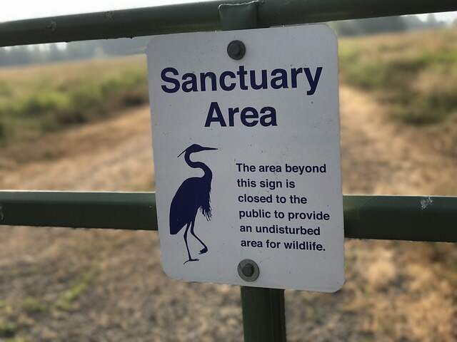 A bird sanctuary. 