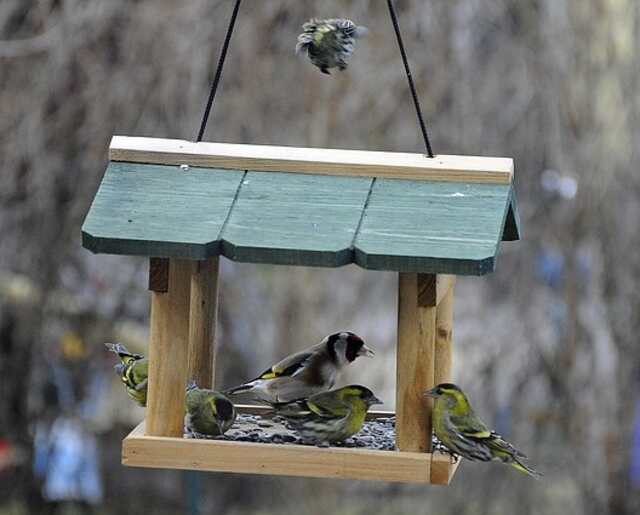A bunch of birds eating from a hopper feeder.