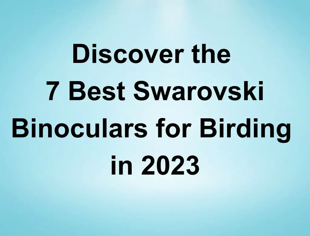 Discover the 7 Best Swarovski Binoculars for Birding