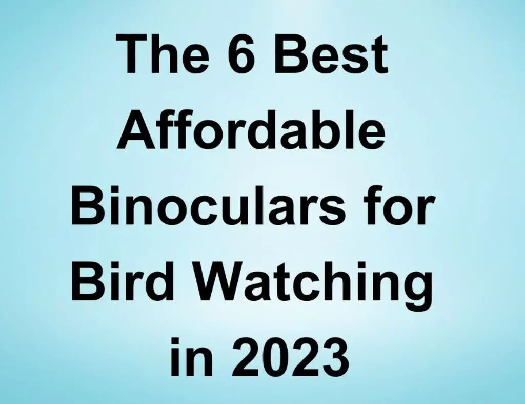 Top 6 Best Affordable-Binoculars for Bird Watching in 2023.