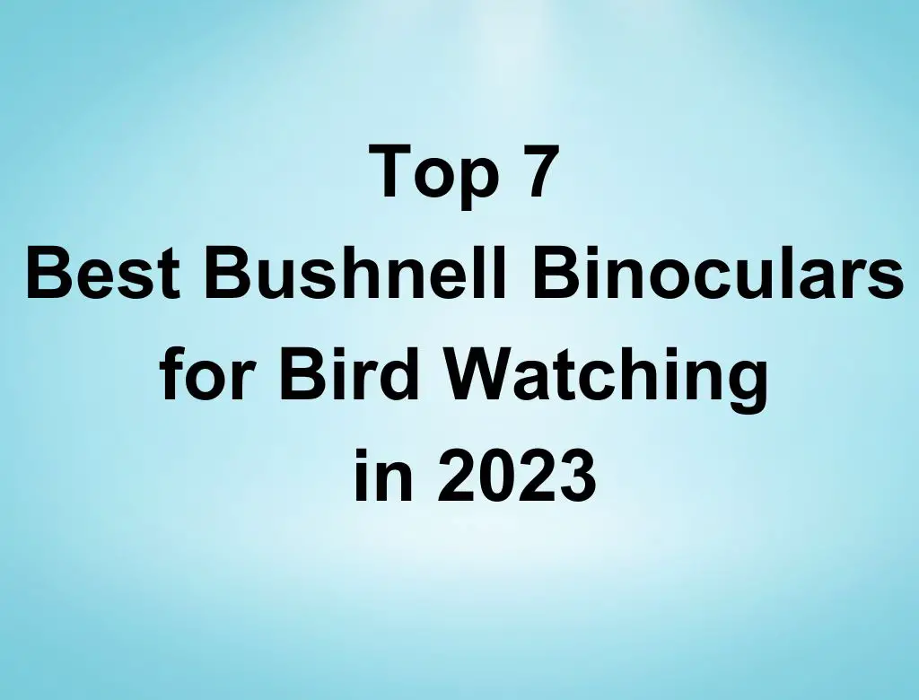 Top 7 Best Bushnell Binoculars for Bird Watching in 2023