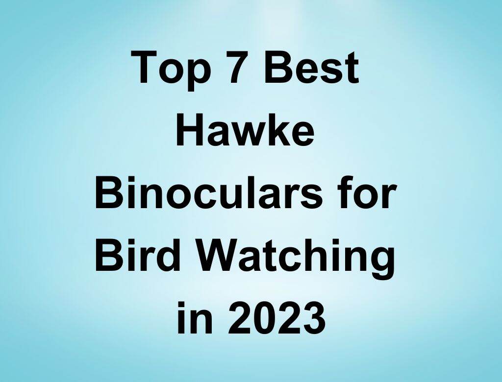Top 7 Best Hawke Binoculars for Bird Watching in 2023 (2) (1)