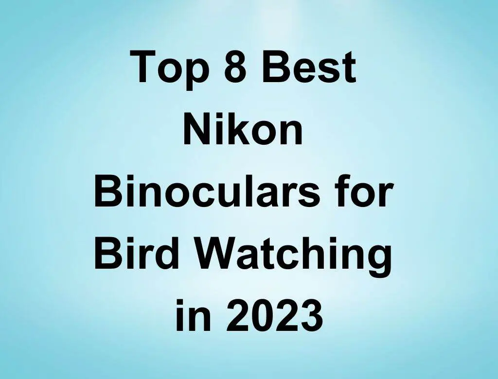 Top 7 Best Nikon Binoculars for Bird Watching in 2023 (2) (1)