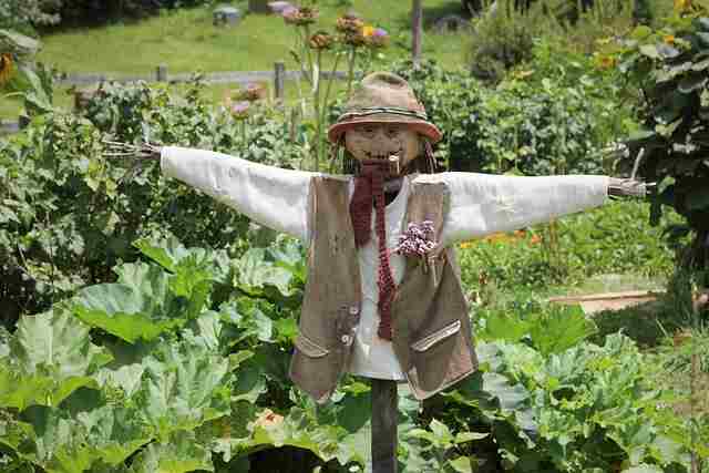 A scarecrow with open arms in a garden.
