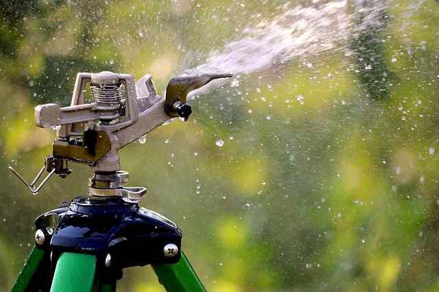 A sprinkler spraying water on grass.