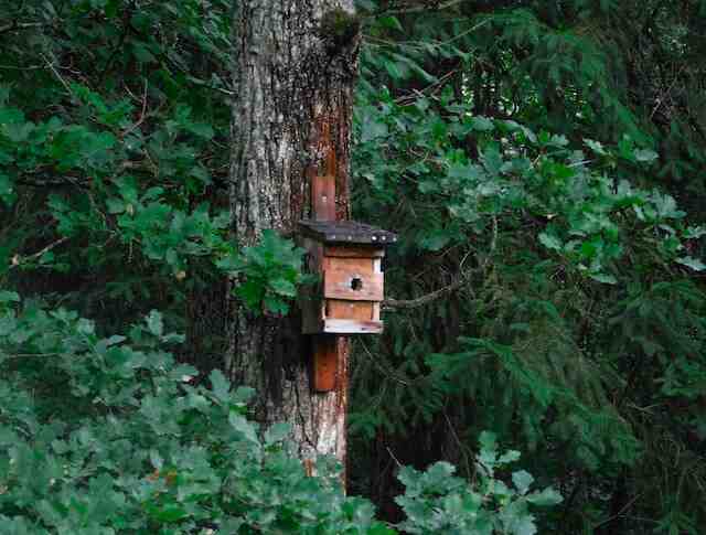 A wooden birdhouse perched onto a tree.
