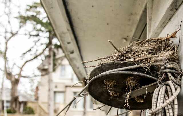A nest on a porch.