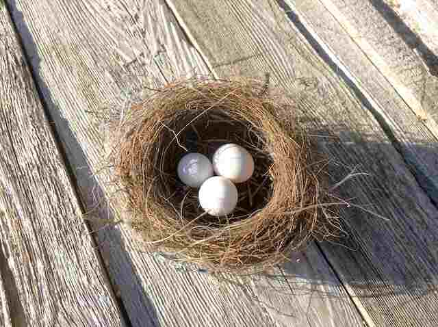 A nest with white eggs in it.