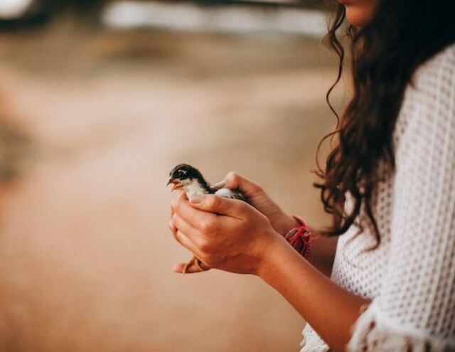 A woman holding a small bird in her hand.