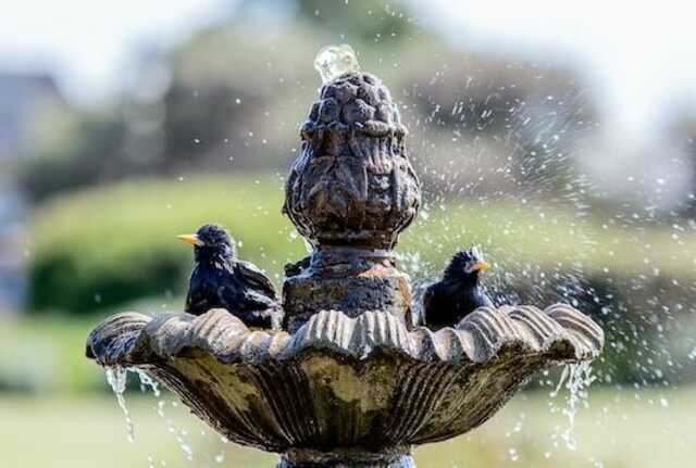 Two black birds bathing in a water fountain.