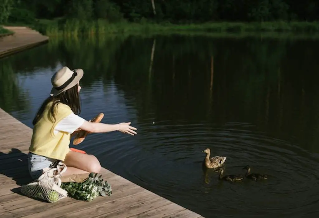 A woman feeding ducks.