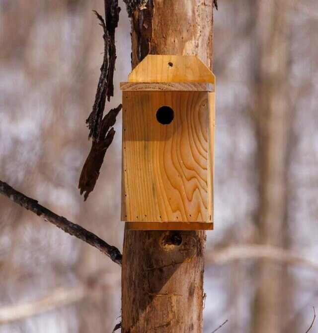 A Blue bird house.