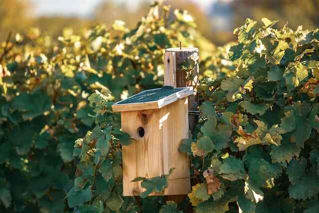 A wooden Bluebird house with a green rooftop, attached to a fence post.