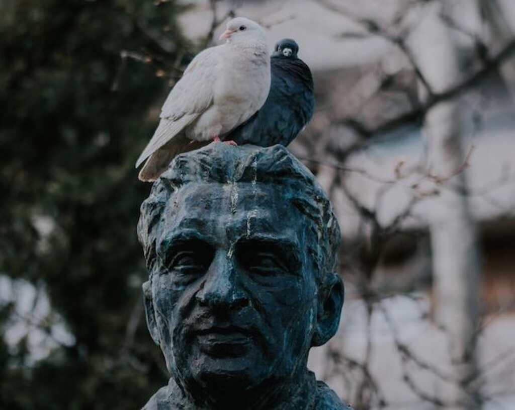 A pigeon pooping on a statue's head.