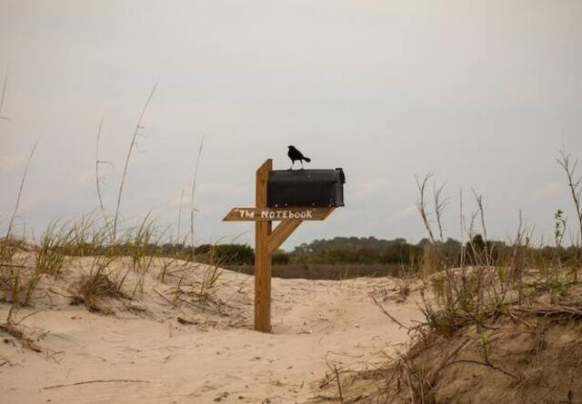 A crow perched on a mailbox.