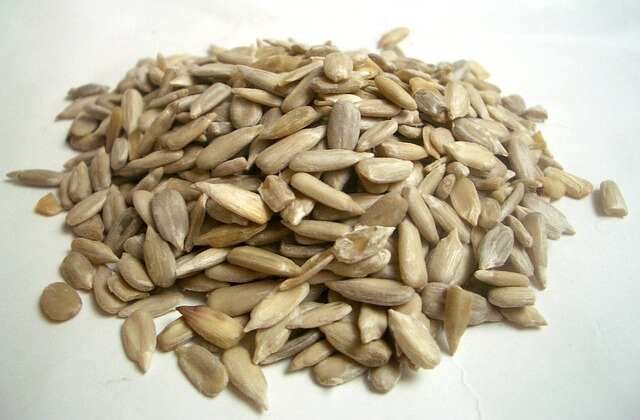 Sunflower seeds kernels.
