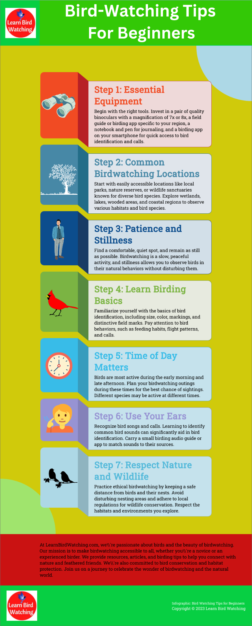 Infographic: Bird Watching Tips for Beginners  