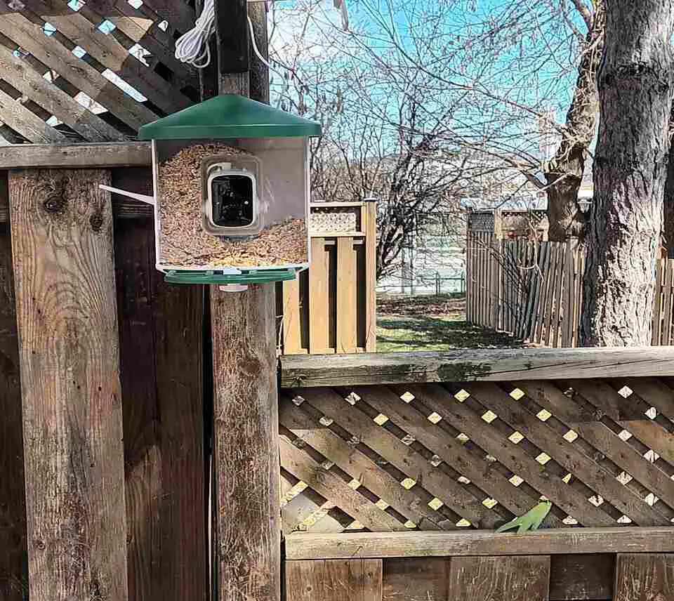 HARYMOR smart bird feeder setup on a fence post.