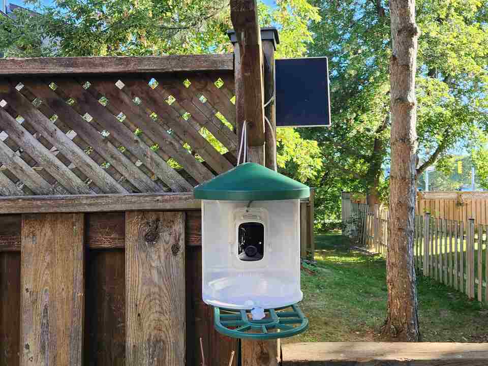 Harymor Smart Bird Feeder Installation.
