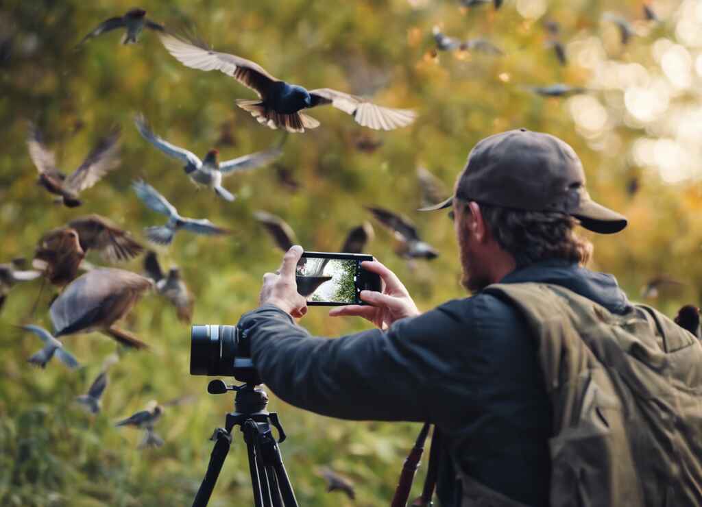 A bird enthusiast captures stunning avian moments using their iPhone camera.