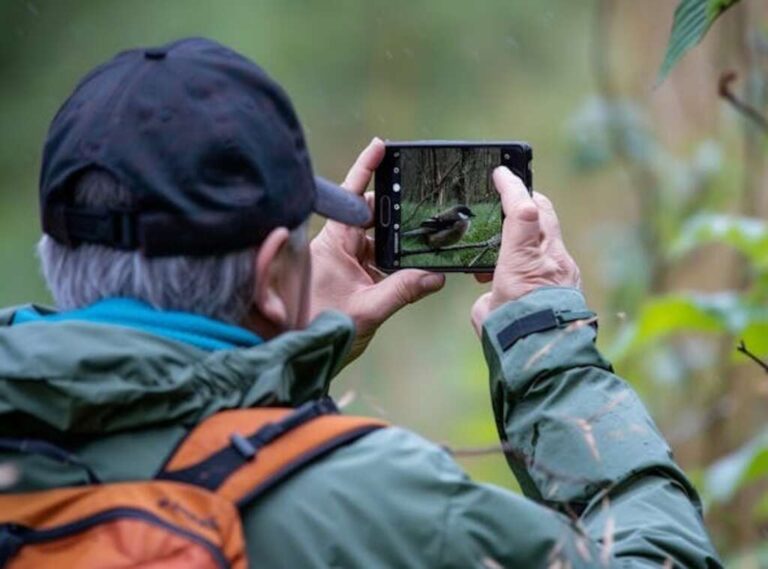 Free Printable Bird Watching Checklist for Minnesota!
