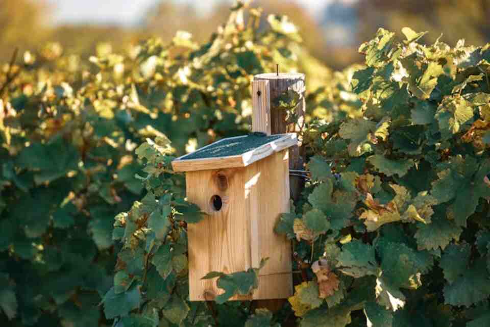 A birdhouse setup.