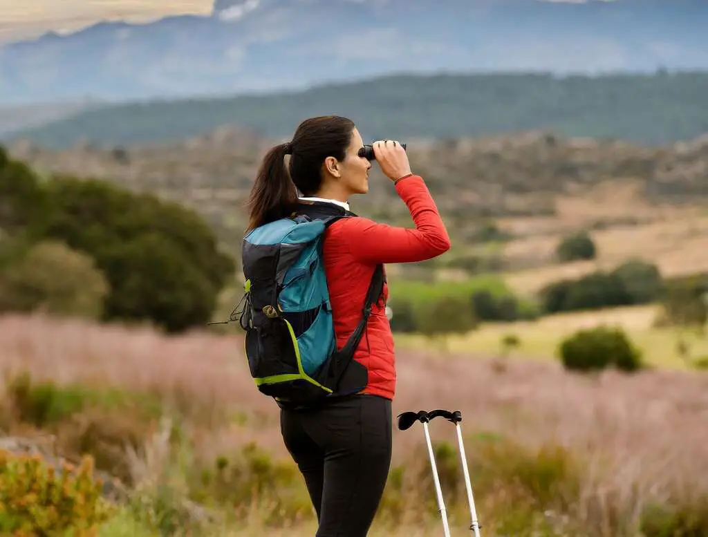 A birder birdwatching with binoculars.