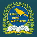 Learn Bird Watching