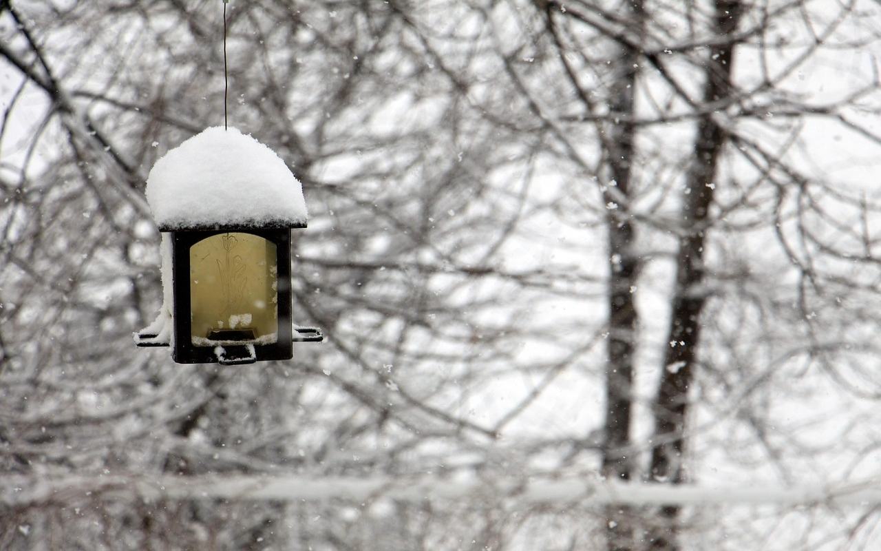 An empty black metal lantern bird feeder hangs outdoors with a thick cap of snow resting on its roof against a heavily blurred background of snowy winter tree branches.