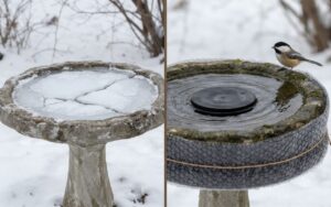 A raw split-screen photo showing a completely frozen solid stone bird bath on the left and a heated bird bath with liquid water and a chickadee on the right.
